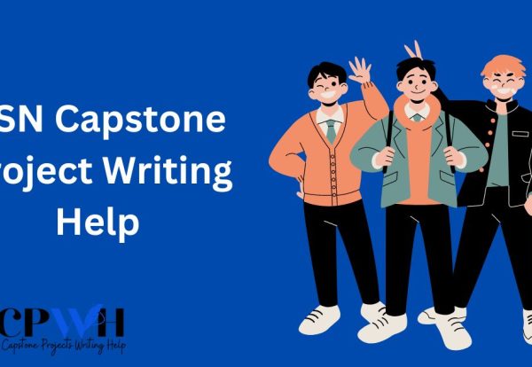 MSN Capstone Project Writing Help