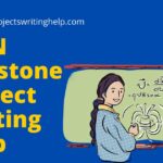 MSN Capstone Project Writing Help